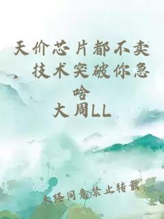天價芯片都不賣，技術突破你急啥